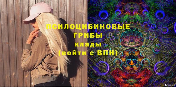 эйфоретик Алексин